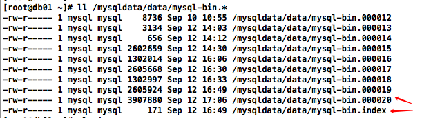 先来聊聊MySQL的binlog文件解析