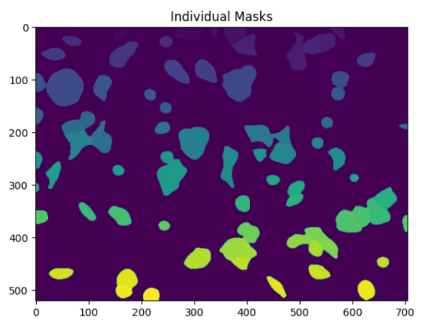 Individual masks for each cell.