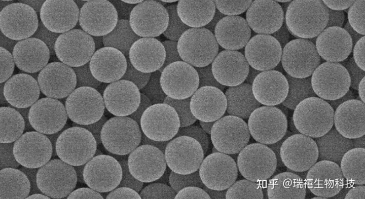 SiO2/PAA/Ag复合纳米粒/酞菁修饰磁性温敏二氧化硅纳米微球/中空SiO2/TiO2纳米微球的制备