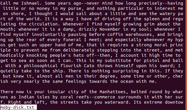 Moby Dick displayed in less in a terminal window