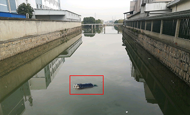 河道漂浮物识别