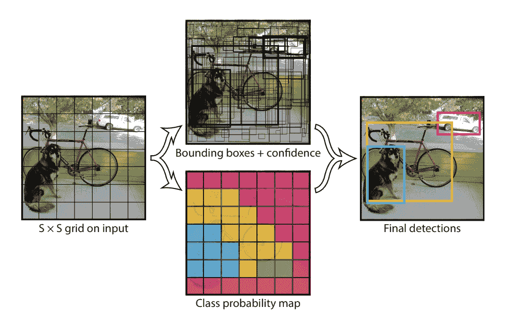 Summary of Predictions made by YOLO Model