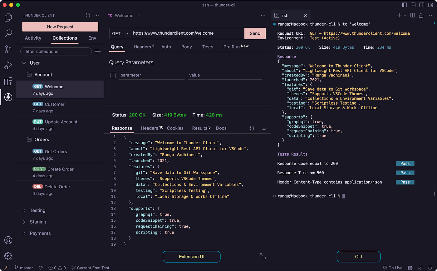 Thunder client, IDE, API, VScode