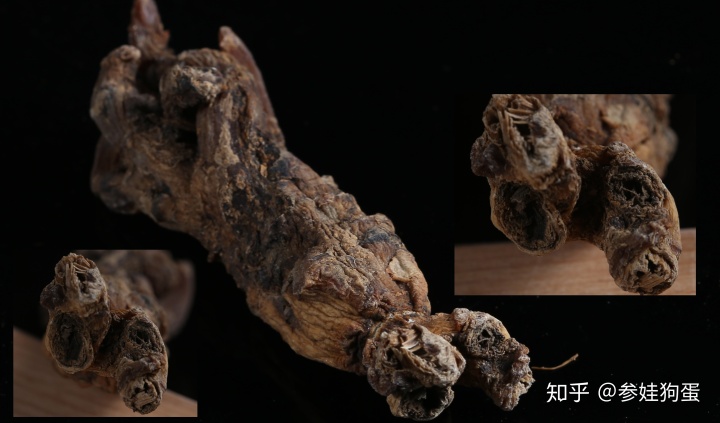 三位数的茎叶图怎么看_人参年龄怎么看?买人参不会再被忽悠了!-csdn博