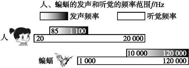 聲音大小與振幅的關係人教版物理八年級上冊22聲音的特性精講