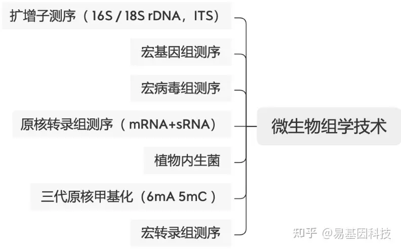 易基因：禾本科植物群落的病毒组丰度/组成与人为管理/植物多样性变化的相关性 | 宏病毒组