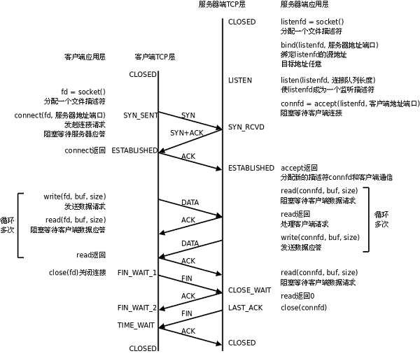 Linux使用C语言实现Socket编程