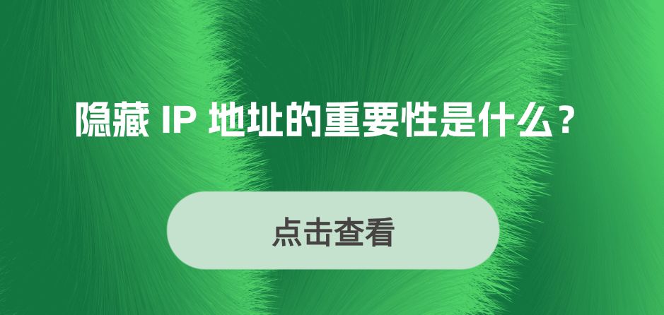 隐藏 IP 地址的重要性是什么？