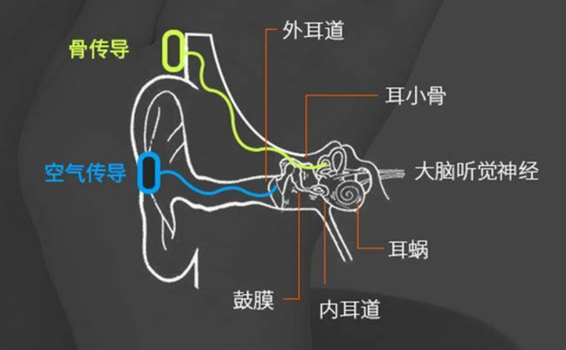 骨传导耳机是什么？如何选择骨传导耳机不会踩雷？