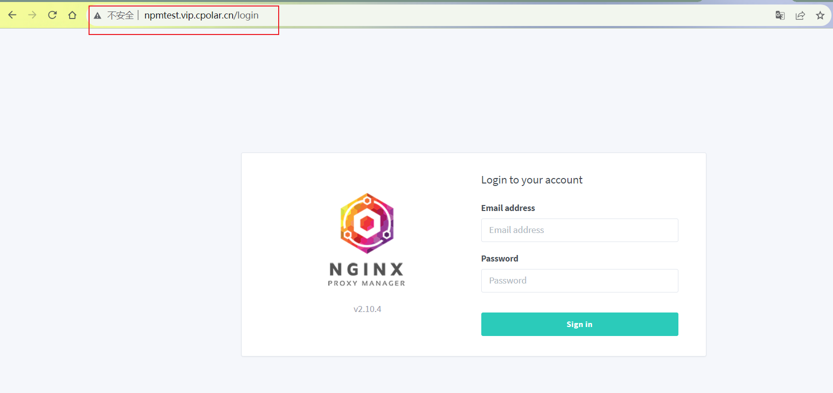 Nginx 可视化管理工具与 cpolar 配置：实现远程访问本地服务的优化