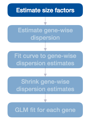 Estimate size factors