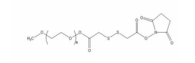 mPEG-SS-NHS甲氧基聚乙二醇-二硫键-琥珀酰亚胺酯