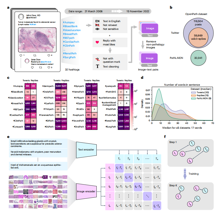 利用医学Twitter进行病理图像分析的视觉-语言基础模型| 文献速递-视觉通用模型与疾病诊断