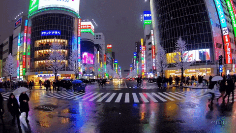be246c835d621aee9395f6a1e46bc868.gif