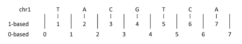 基因组坐标系统的 0-based 和 1-based（图文详解）