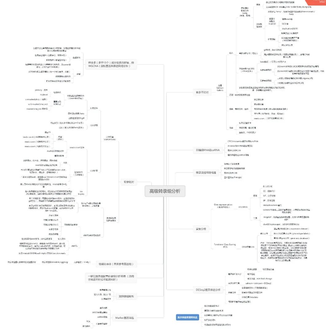 生信入门转录组和可视化学习捷径