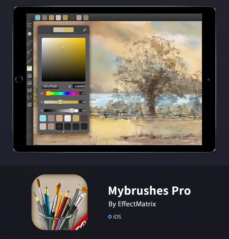 mybrushes for ipad pro