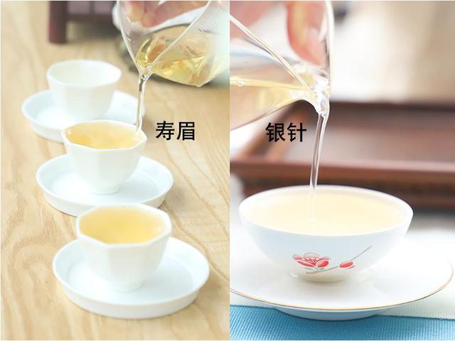 茶馆中的茶梗是什么(茶馆中的茶梗是什么样的)