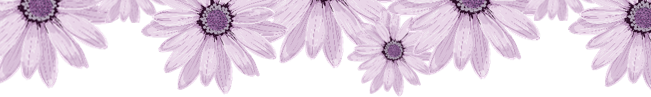 beaba33cf7871f6da3804043fefbb686.png