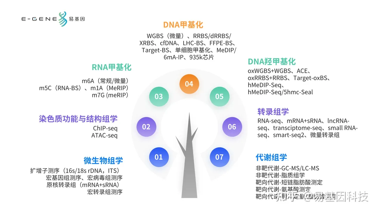 易基因：人早期胚胎发育的表观遗传调控（染色质重塑+组蛋白修饰+DNA甲基化）｜深度综述