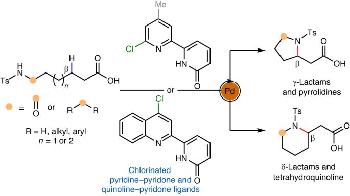 余金权,今日最新nature synthesis-csdn博客