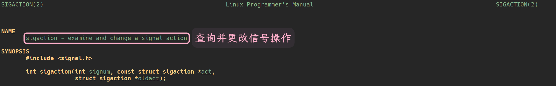 image-20230408085255453