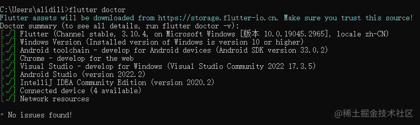 flutter doctor通过