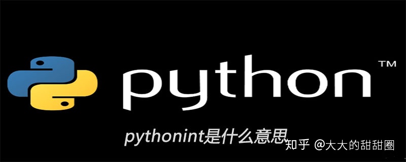 idea中dependencies什么意思python中int是什么意思