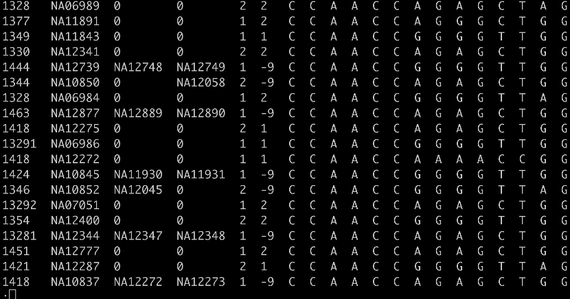 Gwas R Code GWAS分析-常用文件格式_gwas数据的info是什么意思_rouroulollipop的博客-CSDN博客