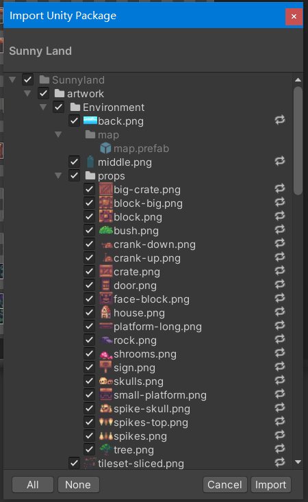 Import Unity Package