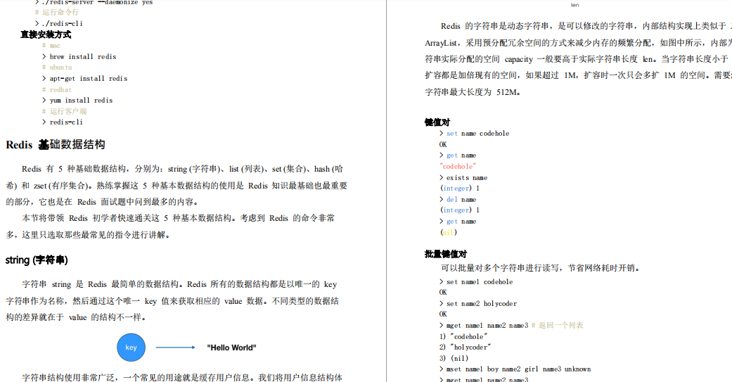 知其然也知其所以然，Redis笔记总结：核心原理与应用实践