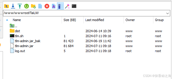 jenkins打包java项目报错Error: Unable to access jarfile tlm-admin.jar_java_02