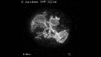 显微镜成像原理图解 bfe957c6fb8f4c114dd89371d835c745.png