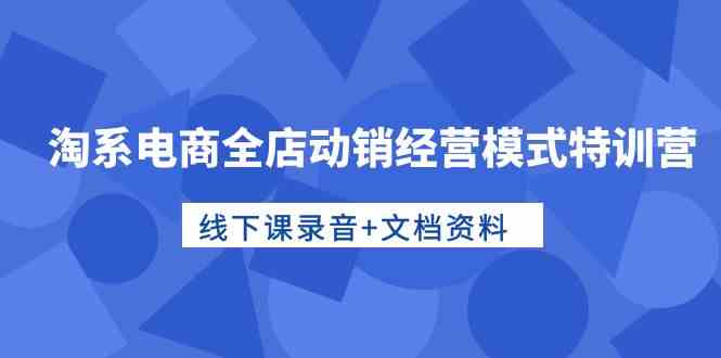 淘系电商全店动销经营模式特训营，线下课录音+文档资料 第1张