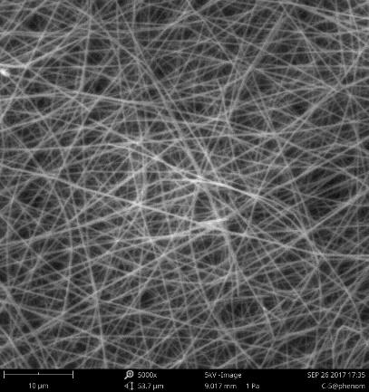 cdr图片随意拉伸变形_扫描电镜中的原位拉伸台应用实例