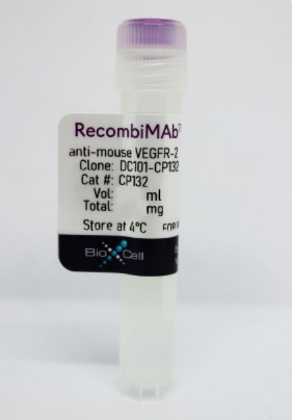 BioXCell热销产品--RecombiMAb anti-mouse VEGFR-2