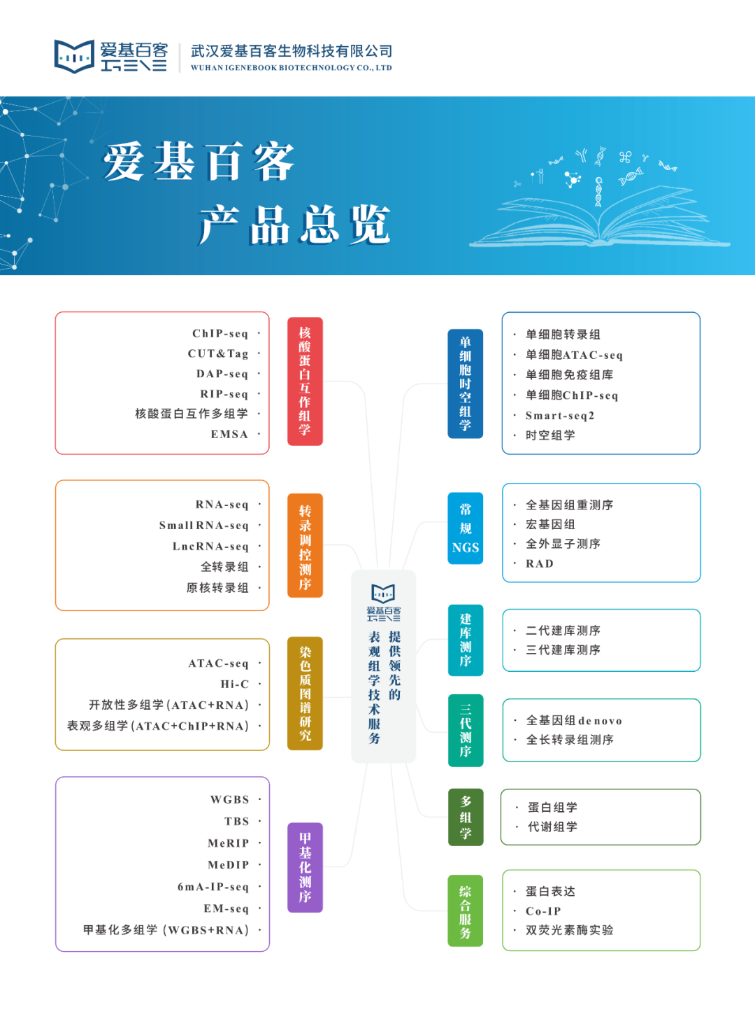 ChIP项目文章CMI（IF=24.1）|IRF1激活可促进辐射诱导的细胞死亡和炎症反应