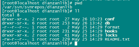svn目录结构