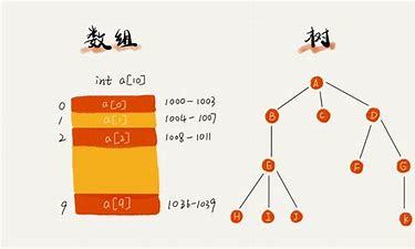 python三维数组_数据结构——数组-CSDN博客