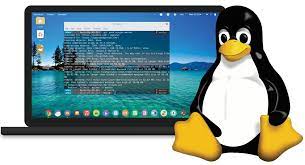 Linux常用指令汇总