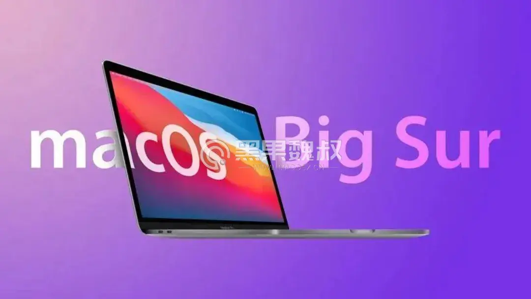 macOS Big Sur 11.7.4（20g1220）With OpenCore 0.8.9正式版 and winPE双引导分区原版镜像