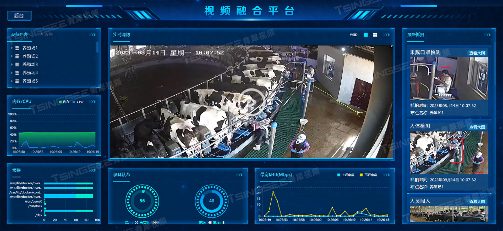 智慧养殖方案：浅谈视频监控与AI智能识别技术助力奶牛高效、智慧养殖