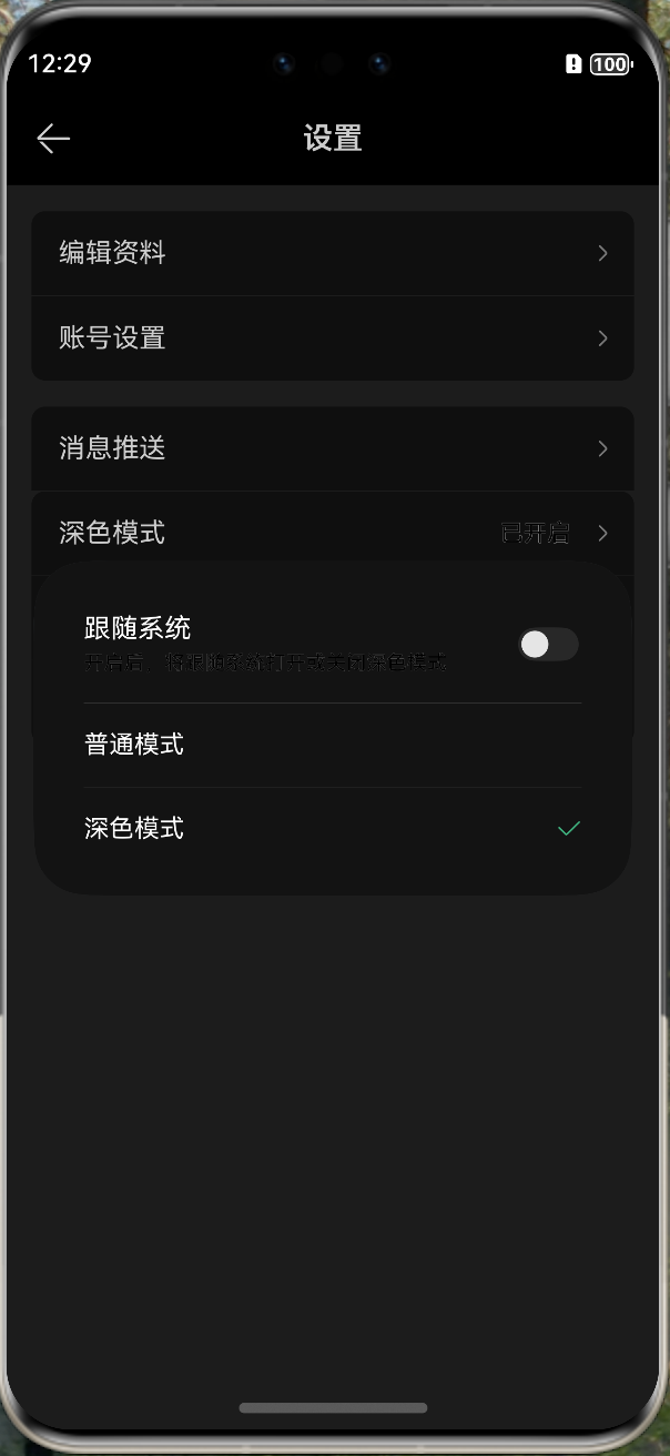 image-20241101002943214