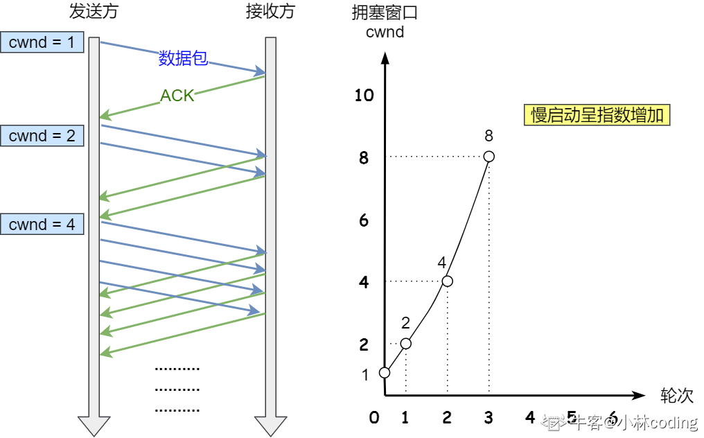 慢启动算法