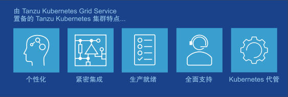 VMware Tanzu Kubernetes Grid (TKG) 2.1 - 企业级 Kubernetes 解决方案