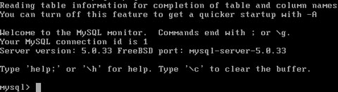 php5.2架设网站,FreeBSD 6.2快速架设网站服务器教程（Apache2.2.X+MySQL5.X.X+ PHP5.2.X+ ZendOptimizer-3.2.X）...