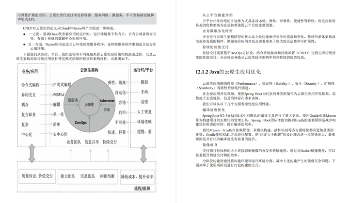 全网独一份微服务架构深度解析，连京东师哥都熬夜也要看完