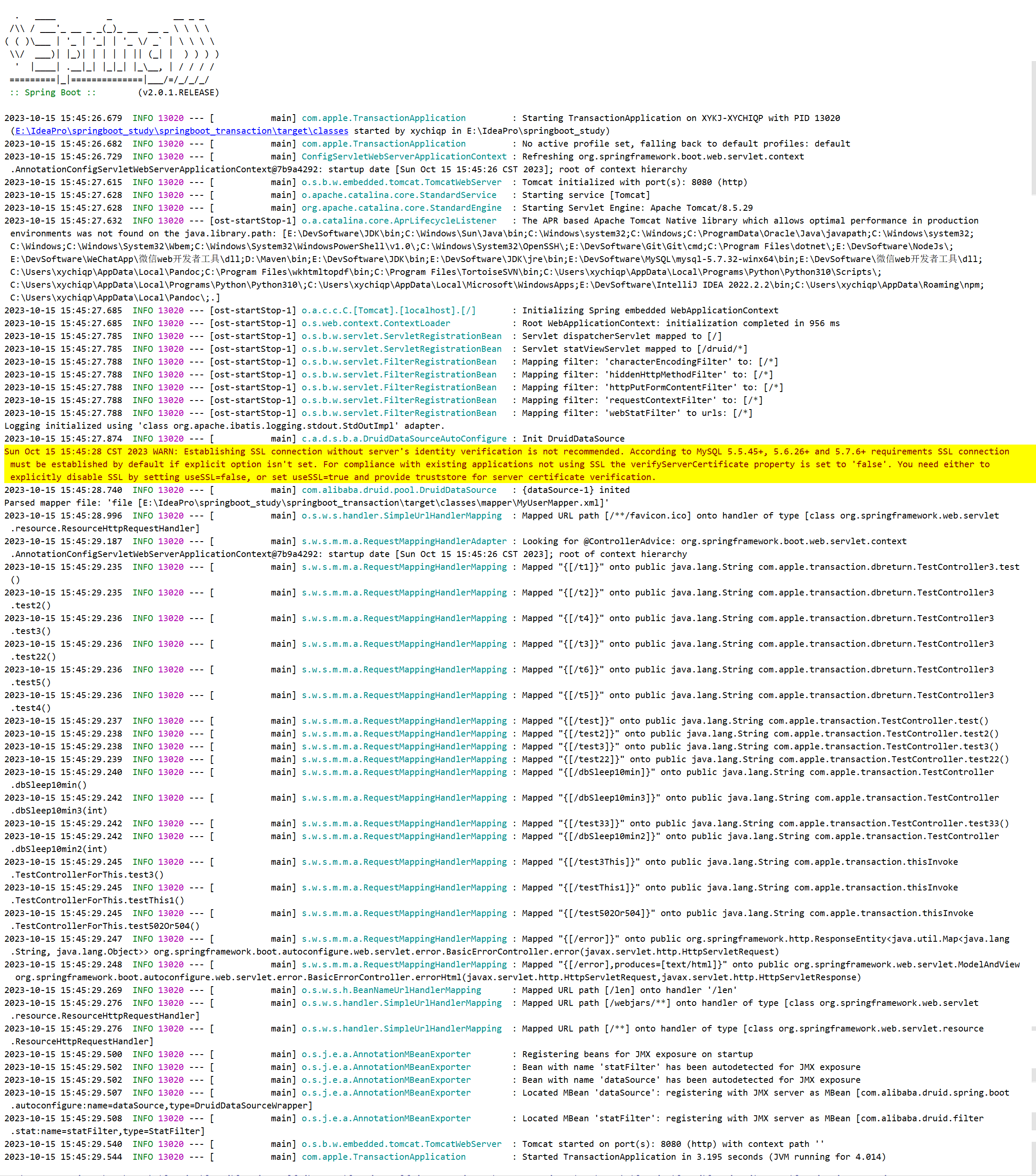 每天debug/run一键启动的Spring Boot控制台启动日志，你了解过吗？