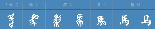 汉字"马"字的演变