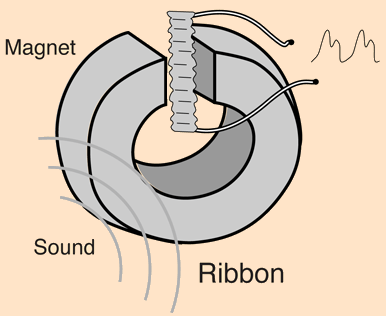 fig3_rib_mic